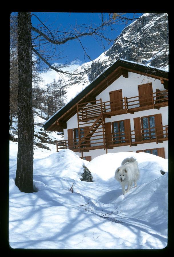 La Trinite Monboso Hotel Gressoney-la-Trinité Eksteriør billede