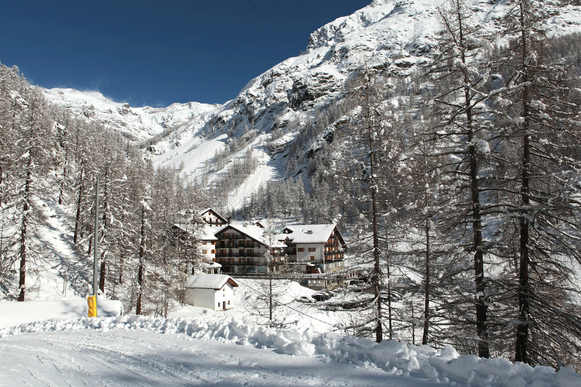 La Trinite Monboso Hotel Gressoney-la-Trinité Eksteriør billede