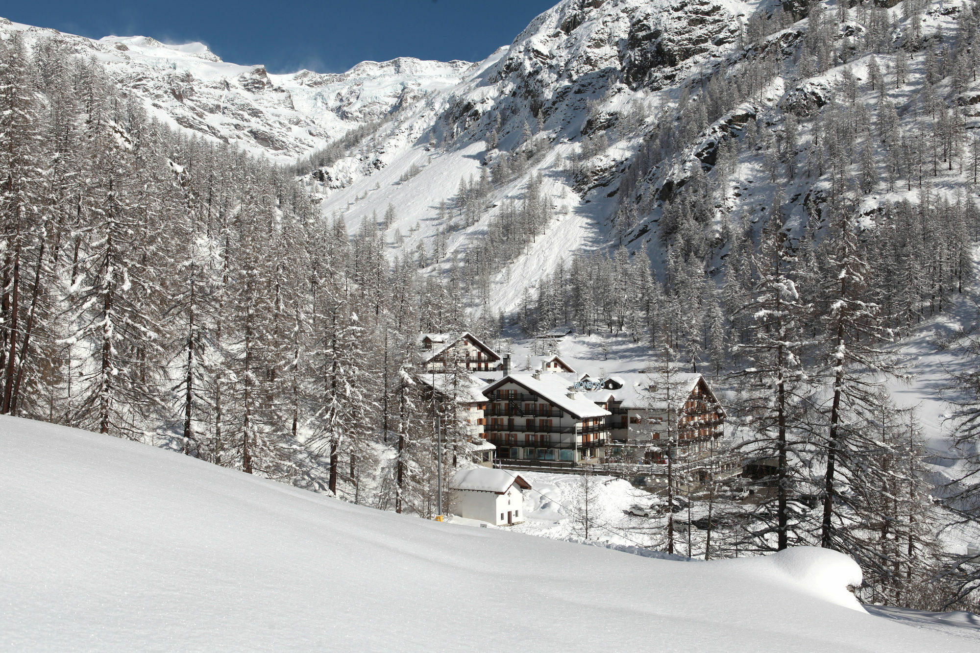 La Trinite Monboso Hotel Gressoney-la-Trinité Eksteriør billede